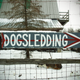 Illustration for article titled Where the Dogs Are: A Dogsledding Photo Diary